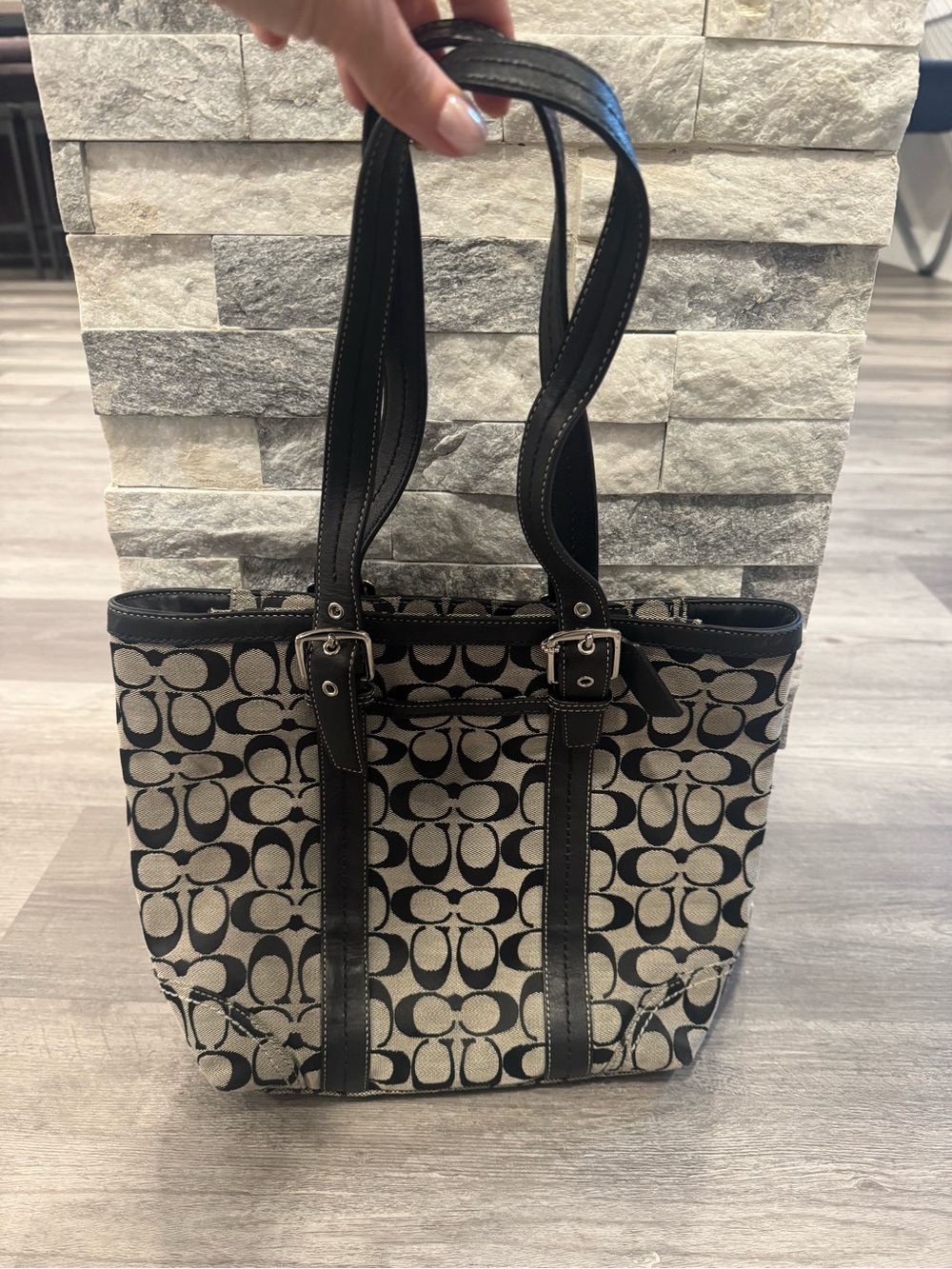 Coach Vintage Y2K tote